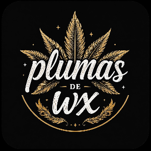 logoplumasdewx300